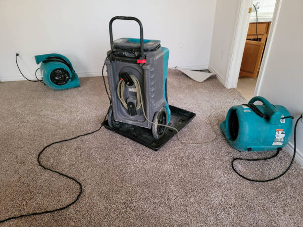 Best Water damage restoration near me  in Chantilly, VA