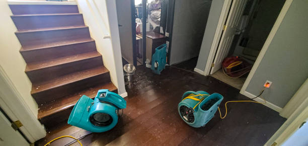 Best Local water damage restoration  in Chantilly, VA
