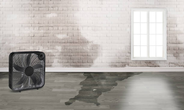 Best Water damage restoration near me  in Chantilly, VA