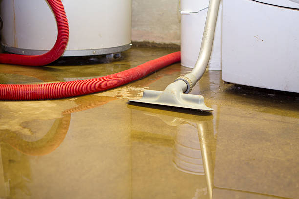 Best Flood damage cleanup  in Chantilly, VA