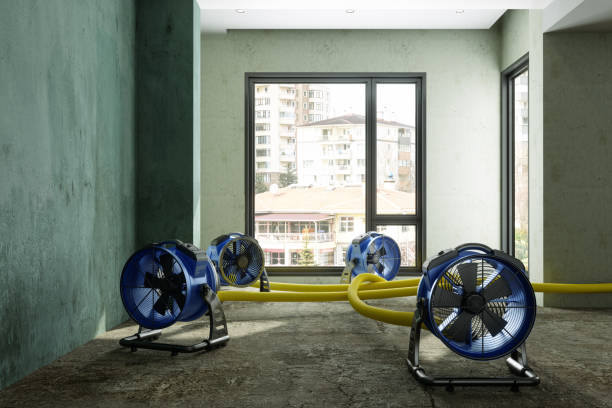 Best 24/7 water damage repair  in Chantilly, VA